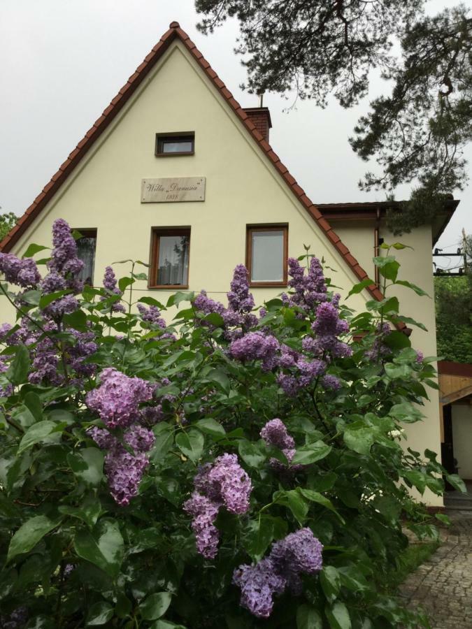 Willa Danusia Milanowek Exterior photo